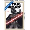 imageTrends International Star Wars Saga  Darth Vader Feature Series Wall Poster 34L x 224W Premium Unframed VersionBlonde Framed Version