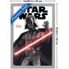 imageTrends International Star Wars Saga  Darth Vader Feature Series Wall Poster 34L x 224W Premium Unframed VersionGray Framed Version