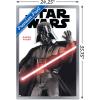 imageTrends International Star Wars Saga  Darth Vader Feature Series Wall Poster 34L x 224W Premium Unframed VersionSilver Framed Version