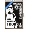 imageTrends International Star Wars Saga  Stormtrooper Trouble Wall Poster 34L x 224W Premium Unframed VersionBronze Framed Version