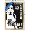imageTrends International Star Wars Saga  Stormtrooper Trouble Wall Poster 34L x 224W Premium Unframed VersionGold Framed Version