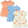 imageAmazon Essentials Disney  Marvel  Star Wars  Princess Babies Toddlers and Girls Dresses Pack of 3Lion King Play Eat Roar