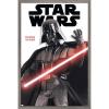 imageTrends International Star Wars Saga  Darth Vader Feature Series Wall Poster 34L x 224W Premium Unframed VersionBarnwood Framed Version