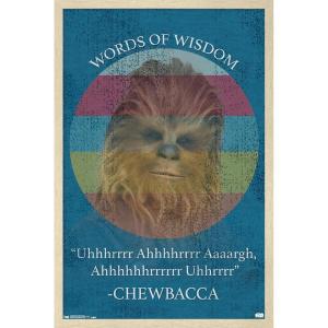 imageTrends International Star Wars Saga  Chewbacca Quote Wall Poster 22375quot x 34quot Premium Unframed VersionBlonde Framed Version