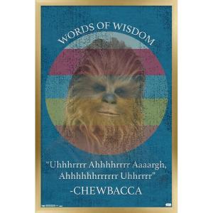 imageTrends International Star Wars Saga  Chewbacca Quote Wall Poster 22375quot x 34quot Premium Unframed VersionGold Framed Version