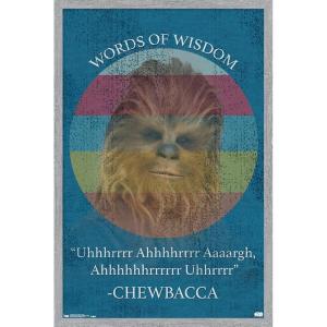 imageTrends International Star Wars Saga  Chewbacca Quote Wall Poster 22375quot x 34quot Premium Unframed VersionGray Framed Version