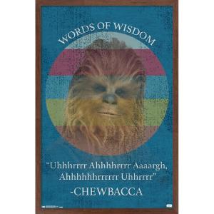 imageTrends International Star Wars Saga  Chewbacca Quote Wall Poster 22375quot x 34quot Premium Unframed VersionMahogany Framed Version
