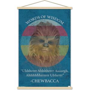 imageTrends International Star Wars Saga  Chewbacca Quote Wall Poster 22375quot x 34quot Premium Unframed VersionPremium Print and Beechwood Hanger Bundle
