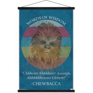 imageTrends International Star Wars Saga  Chewbacca Quote Wall Poster 22375quot x 34quot Premium Unframed VersionPremium Print and Black Hanger Bundle
