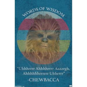 imageTrends International Star Wars Saga  Chewbacca Quote Wall Poster 22375quot x 34quot Premium Unframed VersionPremium Unframed Version