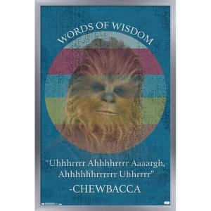 imageTrends International Star Wars Saga  Chewbacca Quote Wall Poster 22375quot x 34quot Premium Unframed VersionSilver Framed Version