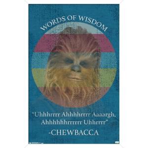 imageTrends International Star Wars Saga  Chewbacca Quote Wall Poster 22375quot x 34quot Premium Unframed VersionWhite Framed Version