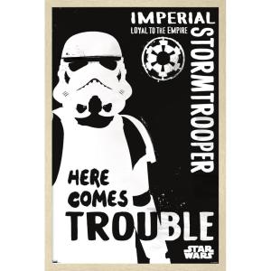 imageTrends International Star Wars Saga  Stormtrooper Trouble Wall Poster 34L x 224W Premium Unframed VersionBlonde Framed Version