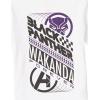imageAmazon Essentials Disney  Marvel  Star Wars Boys and Toddlers Outfit Sets Previously Spotted Zebra Pack of 5Marvel Black Panther