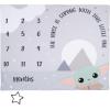 imageLambs ampamp Ivy Star Wars The ChildGroguBaby Yoda Fleece Milestone Blanket wStarStar Wars Grogu