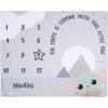 imageLambs ampamp Ivy Star Wars The ChildGroguBaby Yoda Fleece Milestone Blanket wStarStar Wars Grogu