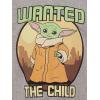 imageSTAR WARS The Mandalorian The Child Baby Athletic TShirt and Mesh Shorts Outfit Set Infant to Big KidGray