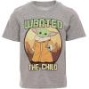 imageSTAR WARS The Mandalorian The Child Baby Athletic TShirt and Mesh Shorts Outfit Set Infant to Big KidGray