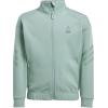 imageadidas Kids Star Wars Mandalorian Track TopSilver GreenCyber Metallic