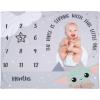 imageLambs ampamp Ivy Star Wars The ChildGroguBaby Yoda Fleece Milestone Blanket wStarStar Wars Grogu