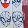 imageJay Franco Star Wars Feather Knit Fluffy Throw Blanket  Darth Vader and R2D2 Fuzzy Blanket Measures 50 x 60 inch  Super Soft Lightweight BeddingGray  Spiderman