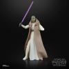 imageSTAR WARS The Black Series Jedi Master Vernestra Rwoh The Acolyte Collectible 6 Inch Action Figure