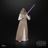 imageSTAR WARS The Black Series Jedi Master Vernestra Rwoh The Acolyte Collectible 6 Inch Action Figure