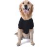 imageStar Wars for Pets Mentally Im in A Galaxy Far Far Away Dog Tee  Black Star Wars Dog TShirt  Soft Dog Shirt XLarge  Adorable Dog Clothing and Apparel Cute Dog ClothesSmall
