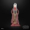 imageSTAR WARS The Black Series Shaak Ti Attack of The Clones Premium Collectible 6 Inch Action Figure