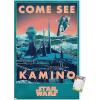 Premium Poster & Mount Bundle