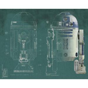 imageRoomMates JL1369M Star Wars The Force Awakens Ep VII Water Activated Removable Wall Mural 105 ft x 6 ftR2D2 blueprint