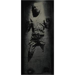 imageSTAR WARS Han Solos Millennium Falcon Area Rug for Living Room  59 x 79 InchesHan Solo Small Area Rug