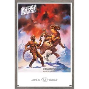 imageTrends International Star Wars Hoth  Empire Strikes Back Wall Poster 22375quot x 34quot Premium Unframed VersionBarnwood Framed Version