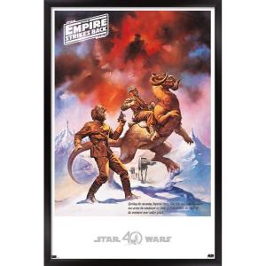 imageTrends International Star Wars Hoth  Empire Strikes Back Wall Poster 22375quot x 34quot Premium Unframed VersionBlack Framed Version