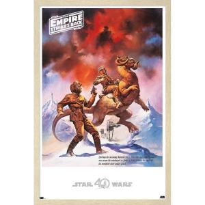 imageTrends International Star Wars Hoth  Empire Strikes Back Wall Poster 22375quot x 34quot Premium Unframed VersionBlonde Framed Version