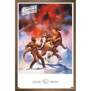 imageTrends International Star Wars Hoth  Empire Strikes Back Wall Poster 22375quot x 34quot Premium Unframed VersionBronze Framed Version