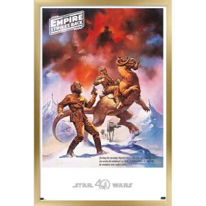 imageTrends International Star Wars Hoth  Empire Strikes Back Wall Poster 22375quot x 34quot Premium Unframed VersionGold Framed Version