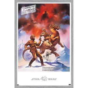 imageTrends International Star Wars Hoth  Empire Strikes Back Wall Poster 22375quot x 34quot Premium Unframed VersionGray Framed Version