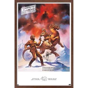 imageTrends International Star Wars Hoth  Empire Strikes Back Wall Poster 22375quot x 34quot Premium Unframed VersionMahogany Framed Version
