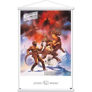 imageTrends International Star Wars Hoth  Empire Strikes Back Wall Poster 22375quot x 34quot Premium Unframed VersionPremium Print and White Hanger Bundle