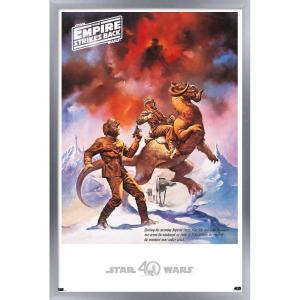imageTrends International Star Wars Hoth  Empire Strikes Back Wall Poster 22375quot x 34quot Premium Unframed VersionSilver Framed Version