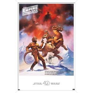 imageTrends International Star Wars Hoth  Empire Strikes Back Wall Poster 22375quot x 34quot Premium Unframed VersionWhite Framed Version