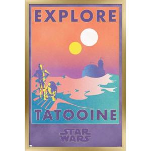 imageTrends International Star Wars Tatooine  Explore Tatooine Wall Poster 22375quot x 34quot Premium Unframed VersionGold Framed Version