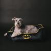 imageBuckleDown Dog Bed Star Wars Imperial Fleet Medium One SizeBatman