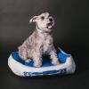imageBuckleDown Dog Bed Star Wars Imperial Fleet Medium One SizeStar Wars R2D2