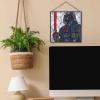 imageDisney Star Wars Darth Vader and Lightsaber Hanging Glass Wall Decor  Beautiful Darth Vader Wall Art for HomeBlack