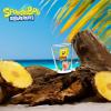imageSilver Buffalo Disney Star Wars Character Portraits 4 Pack Mini Glasses 15 OuncesSpongebob Squarepants Poses