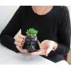 imageStar Wars Darth Vader Helmet 3Inch Ceramic Mini Planter with Artificial Succulent  Small Flower Pot Faux Indoor Plants For Desk Shelf Home Decor Trinket Tray  Movie Gifts and Collectibles