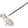 imageStar Wars for Pets All Stars 6 Foot 72 Inch Dog Leash for All Dogs  Cute Dog Leash Easily Attaches to Any Dog Collar or Harness  Officially Licensed Star Wars Dog Leash Multi