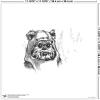 imageTrends International Gallery Pops Star Wars Saga  Return of the Jedi Ewok Sketch Wall Art Wall Poster 1200quot x 1200quot Black Frame VersionUnframed Version